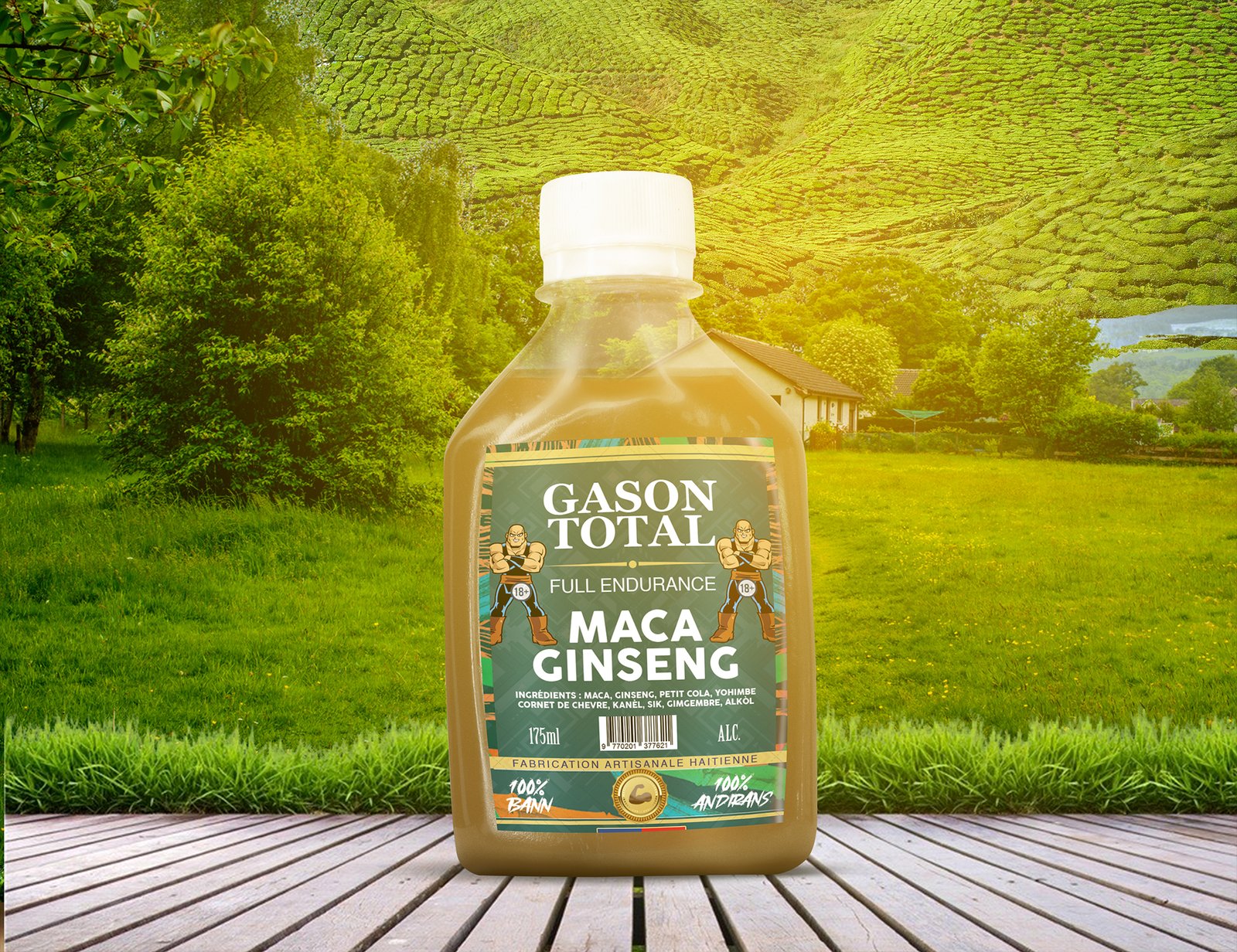 Gason Total Maca Ginseng