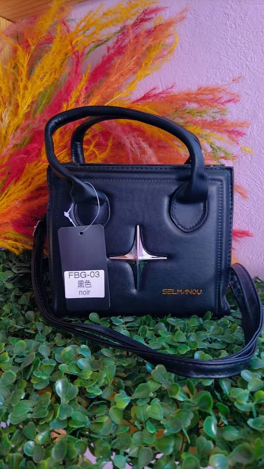 Valise à main