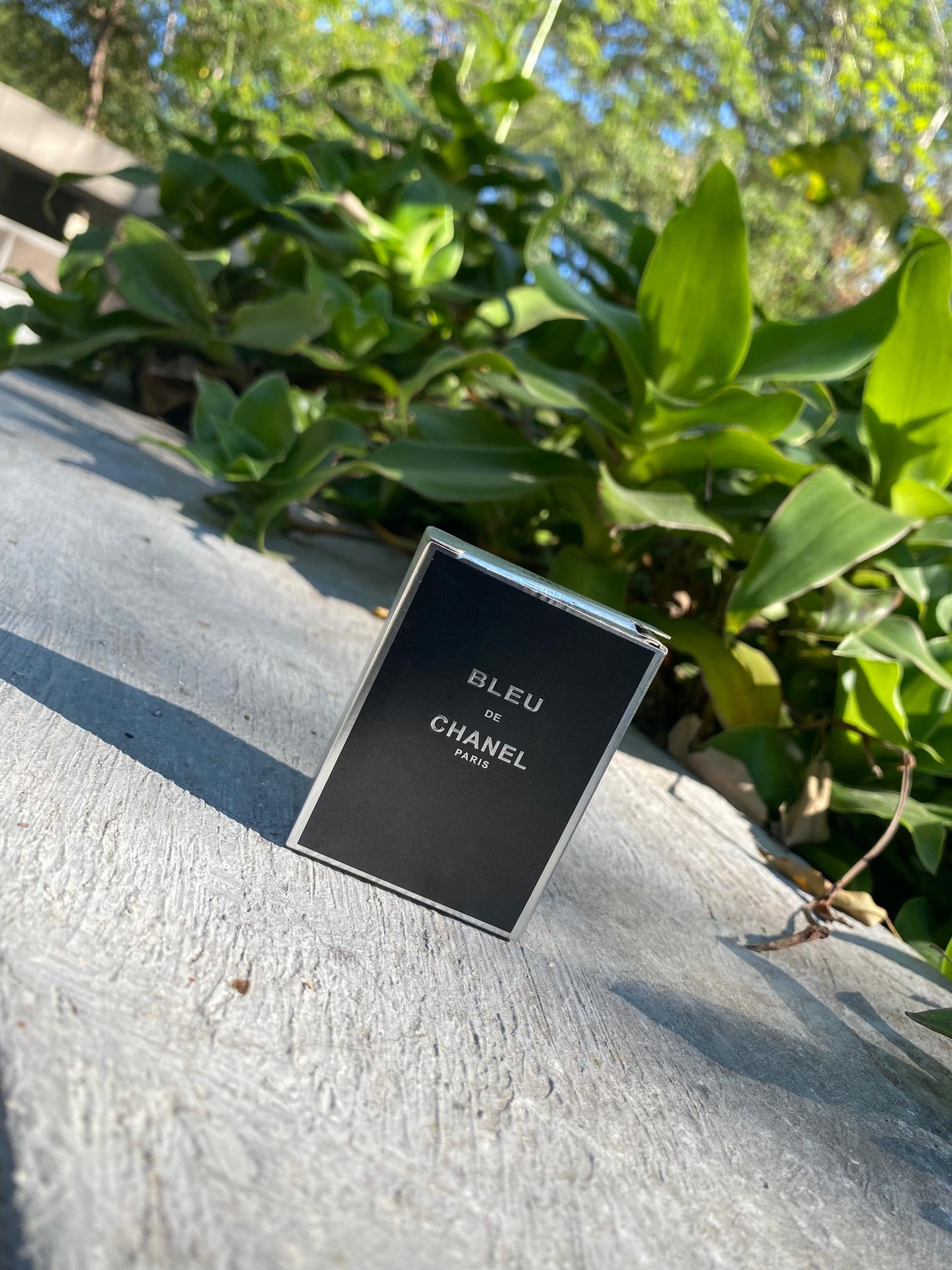 Chanel (miniature)
